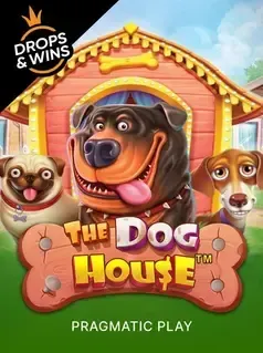 Dog House